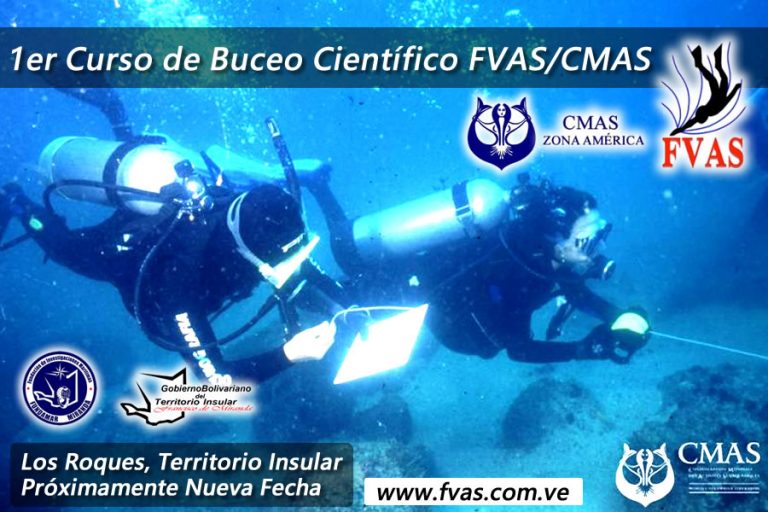 [POSPUESTO] 1er Curso de Buceo Científico FVAS/CMAS 2019 en Venezuela