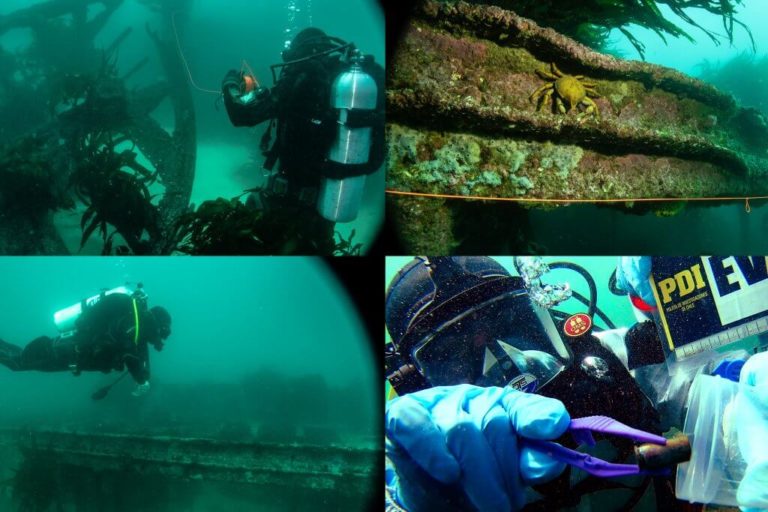 Seminario Buceo científico y criminalística subacuática UNAB Chile Noviembre 2019