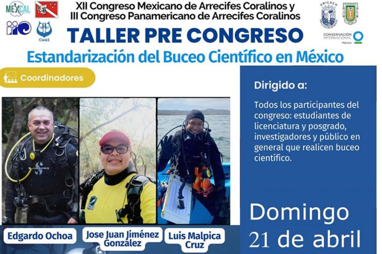 Taller Pre Congreso – Estandarización del Buceo Científico en México 🇲🇽