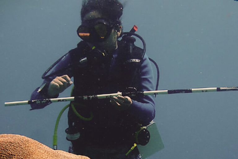 Puerto Morelos será sede del 2º Curso Internacional de Buceo Científico en Sistemas Arrecifales  🇲🇽