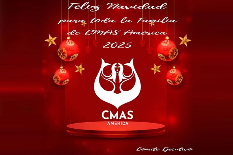 Feliz Navidad 2025 y Feliz año Nuevo 2026